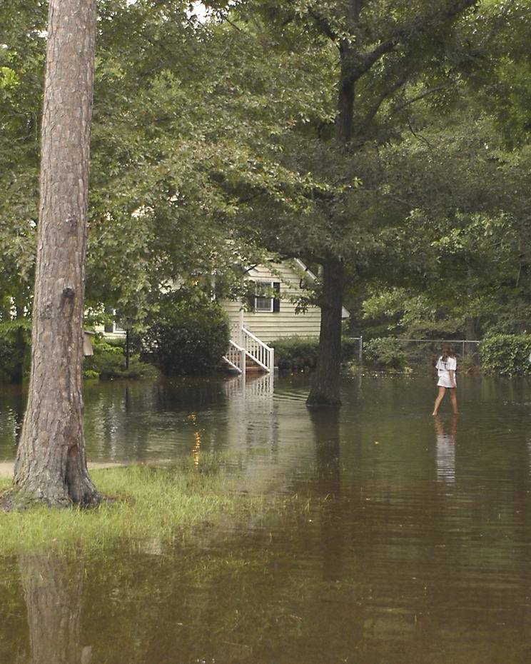 Flood water covering a wooded yard in Darlington, South Carolina