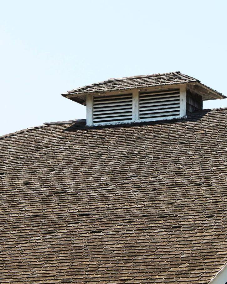 Weathered roof with worn and missing shingles